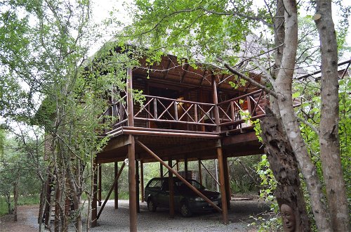 Foto 37 - Lion Tree Bush Lodge