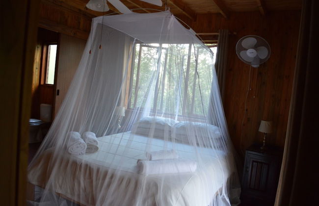 Lion Tree Bush Lodge - Foto 7