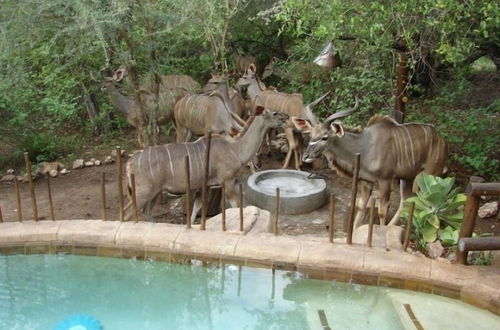 Photo 59 - Marloth Kruger Accommodation