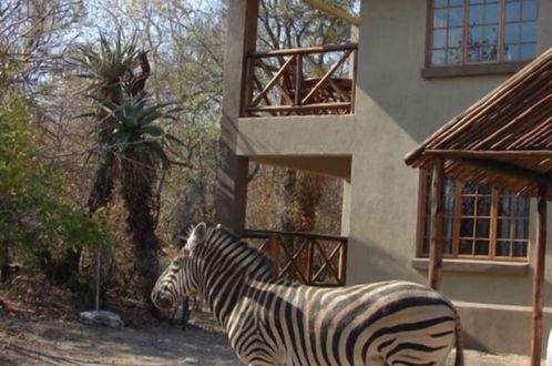 Photo 58 - Marloth Kruger Accommodation