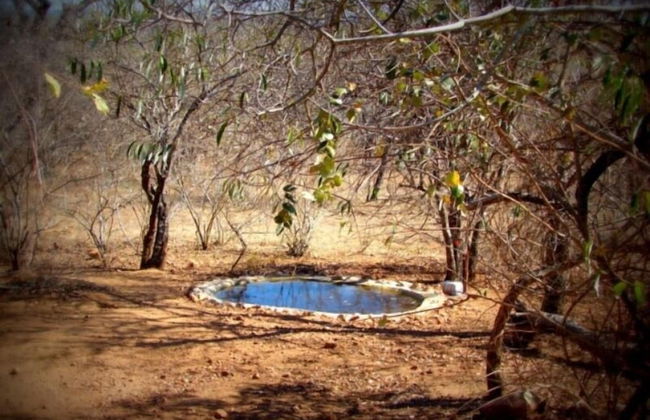 Marloth Kruger Accommodation - Foto 47