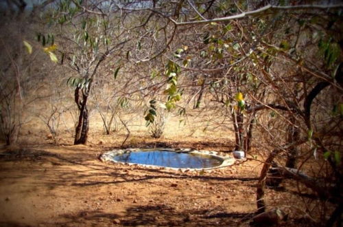 Photo 47 - Marloth Kruger Accommodation