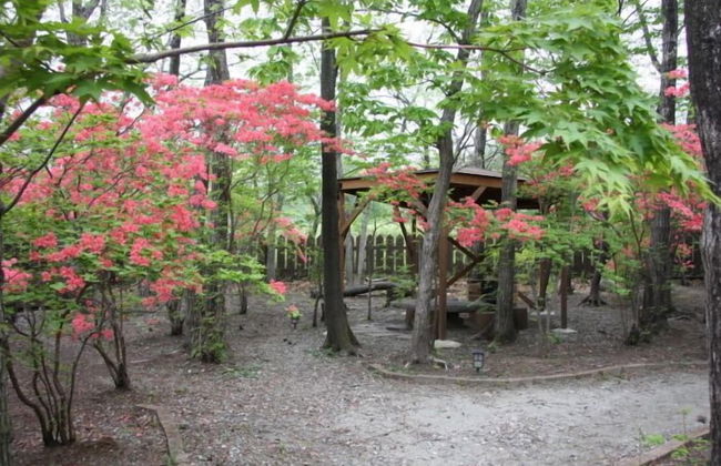 Suitaikyou - Photo 22