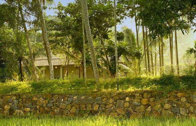 Ivory House - Foto 50