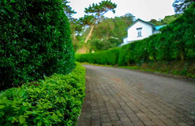 Brockenhurst Bungalow - Foto 26