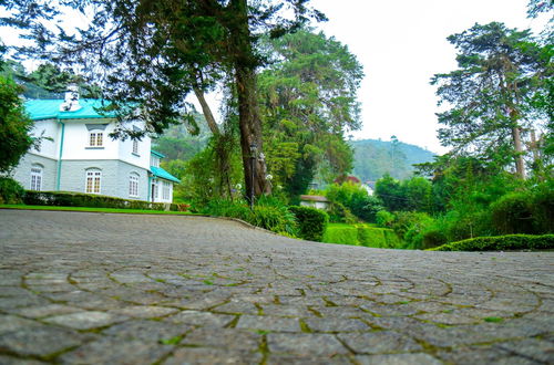 Photo 29 - Brockenhurst Bungalow