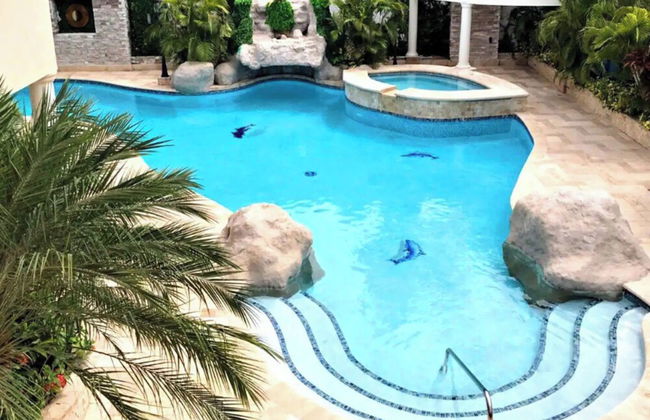 Orchids & Palms Villa - Photo 47