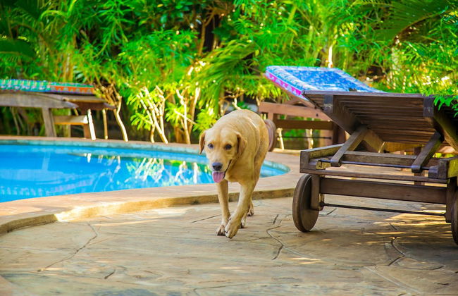Villakwetu Cottages Diani Beach - Foto 70