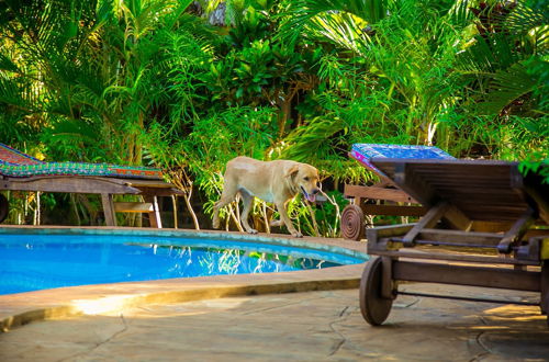 Photo 65 - Villakwetu Cottages Diani Beach