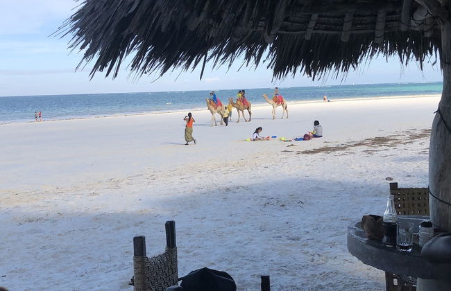 Villakwetu Cottages Diani Beach - Foto 79