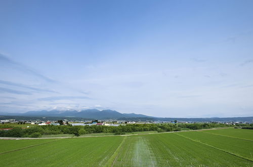 Foto 14 - Furano Lookout