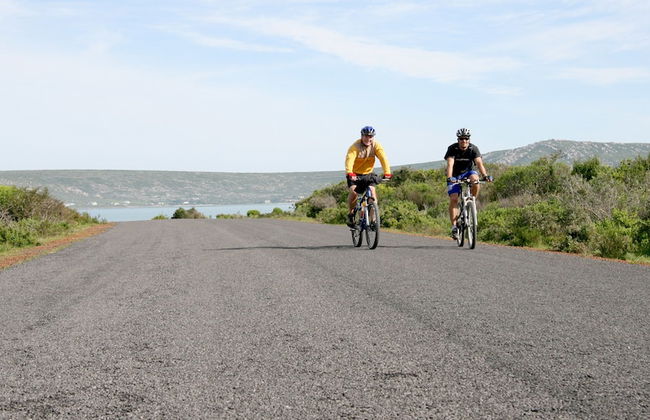 Langebaan Kite Cottages - Foto 60