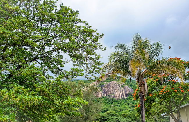 Near2Numbi - Foto 58