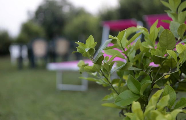 Rilassante E Indipendente- La Rondinella -detacha - Foto 27