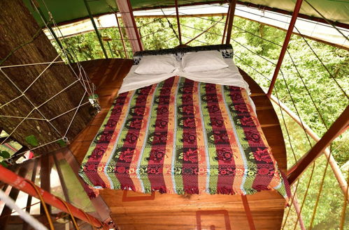 Photo 2 - Nature Observatorio Amazing Treehouse