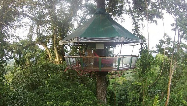 Foto 1 - Nature Observatorio Amazing Treehouse
