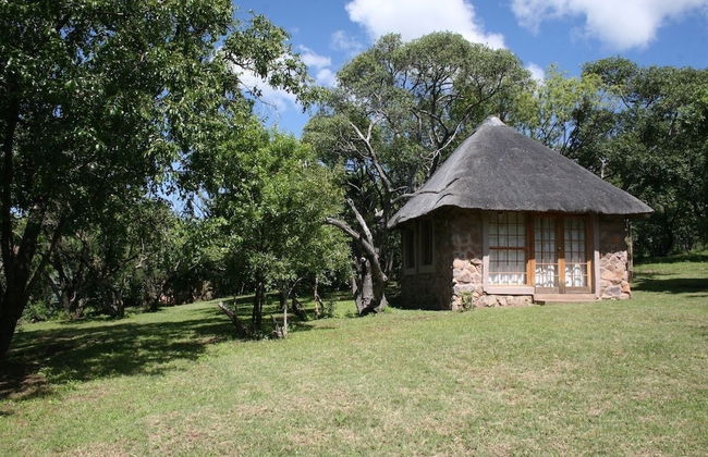 Griffons Bush Camp - Foto 10