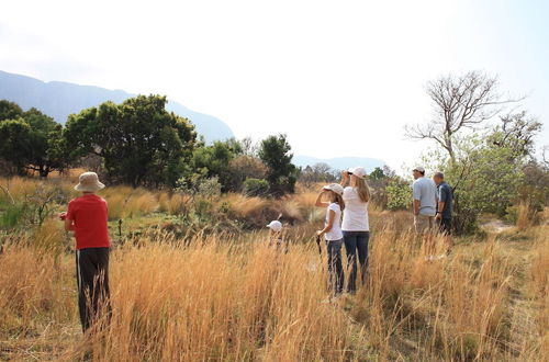 Photo 11 - Griffons Bush Camp