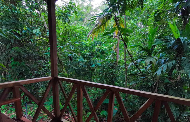 Citronela Lodge Corcovado - Foto 13