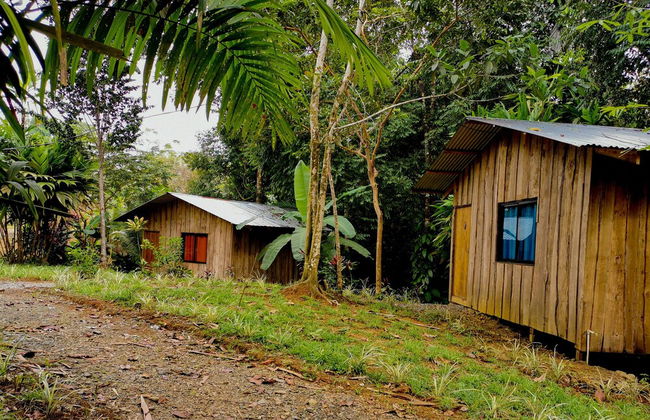 Citronela Lodge Corcovado - Foto 31
