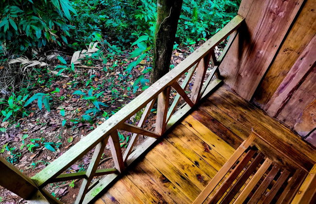 Citronela Lodge Corcovado - Foto 14