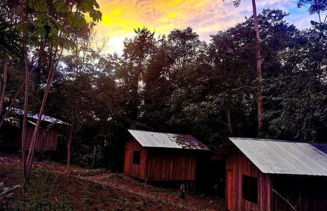 Citronela Lodge Corcovado - Foto 30