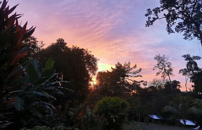 Citronela Lodge Corcovado - Foto 40
