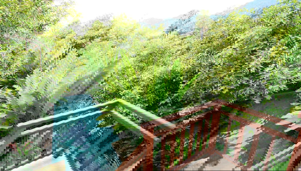 Imagem principal
