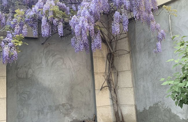 3 room apartment on Baghramyan - Foto 59