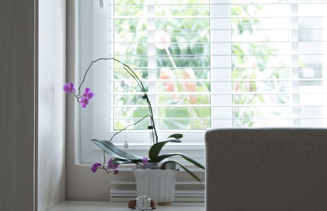 Anada Serviced Apartments In Dalat - Foto 18