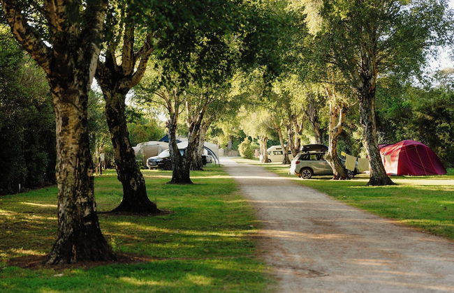Golden Bay Holiday Park - Foto 18