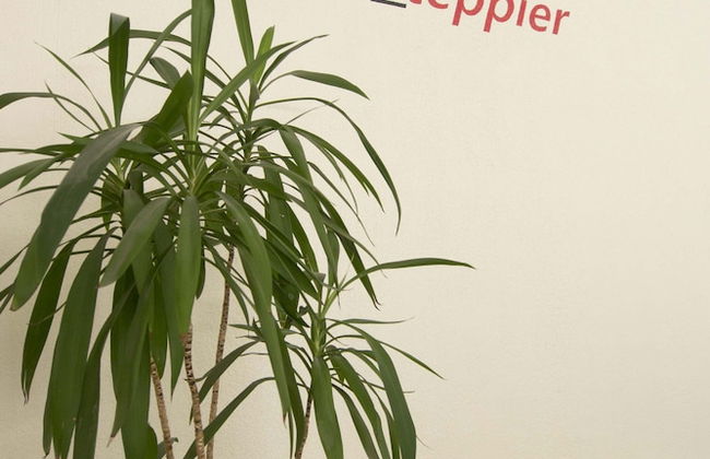 Step Pier - Foto 26