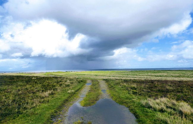 5 Person Holiday Home in Lemvig-by Traum - Foto 15