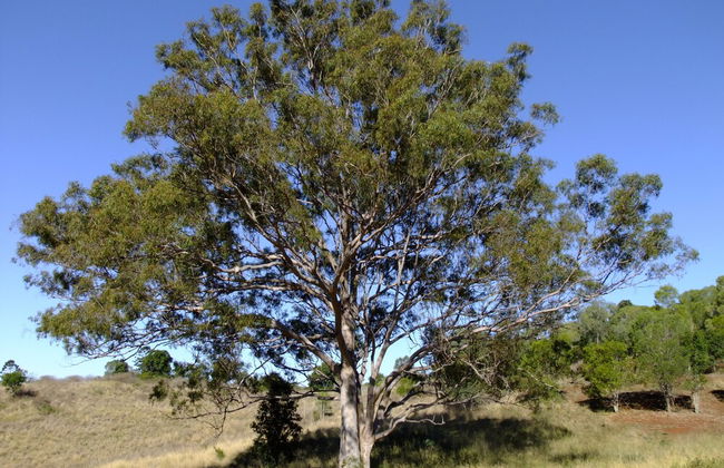 Deshons Retreat - Foto 26