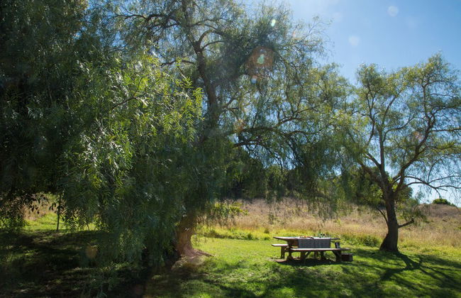 Deshons Retreat - Foto 25