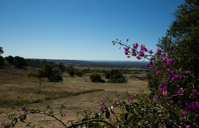 Deshons Retreat - Foto 28