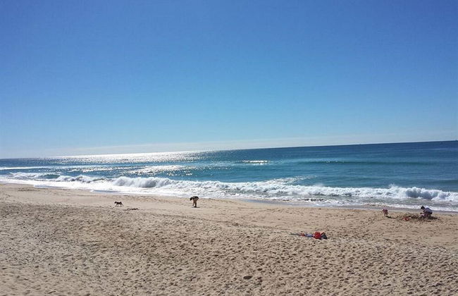 Surfside on the Beach - Photo 56