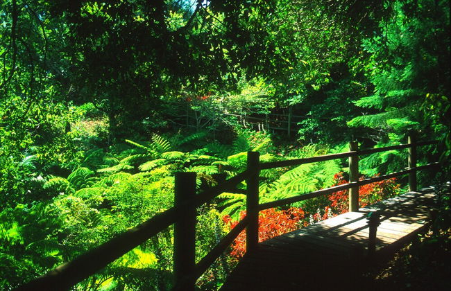 The Falls Montville - Foto 30