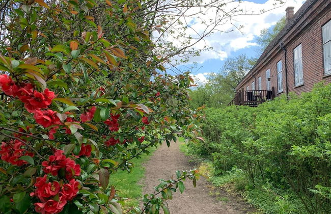 Skerrildgaard Gæstehus - Foto 19