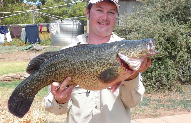 Country Bakehouse Accommodation - Photo 21