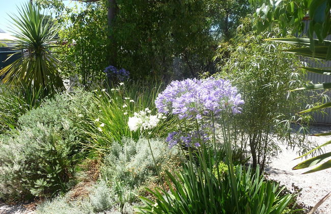 Country Bakehouse Accommodation - Photo 29