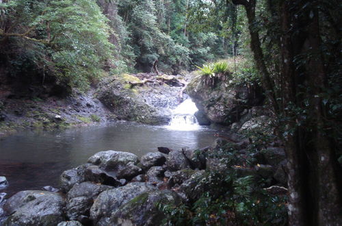 Foto 40 - Christmas Creek Cafe & Cabins