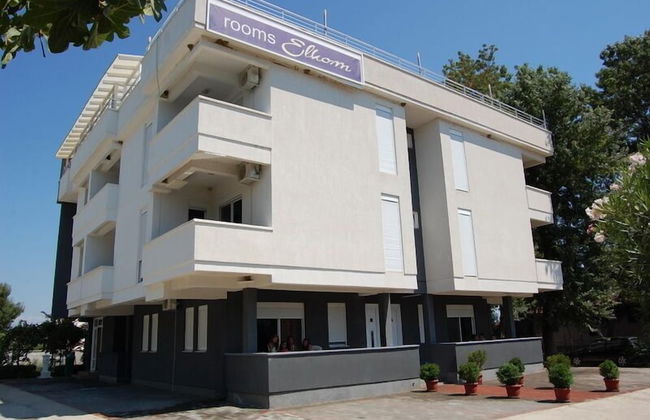 Vila Elkom - Foto 1