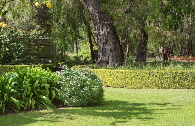 Bayshore Beachside Resort - Foto 60