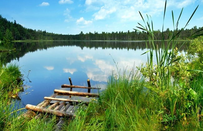 Przytulny Domek z Sauna , Jacuzzi i Basenem - Foto 33