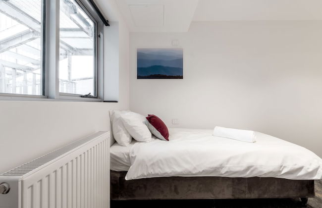 Elk at Falls - Foto 13