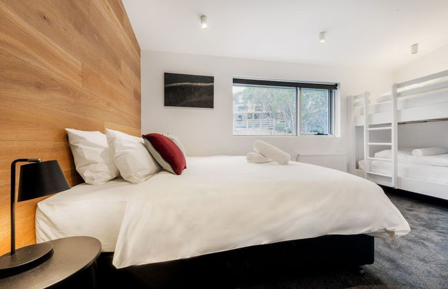 Elk at Falls - Foto 6