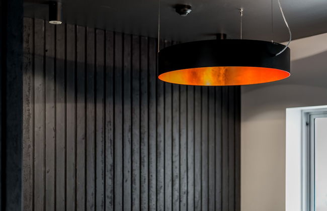 Elk at Falls - Foto 63