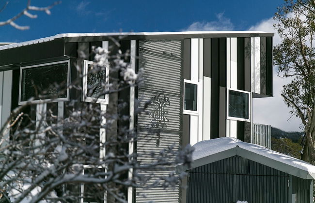 Elk at Falls - Foto 65