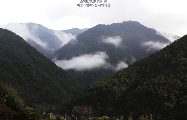 Pine Forest - Foto 23